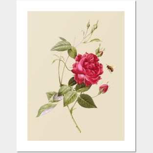 Pink Rose & Hovering Bee - Bee & Flower Image Posters and Art